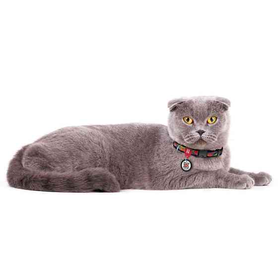 Нашийник для собак нейлоновий WAUDOG Nylon з QR паспортом, малюнок "Вітраж", пластиковий фастек Коломыя