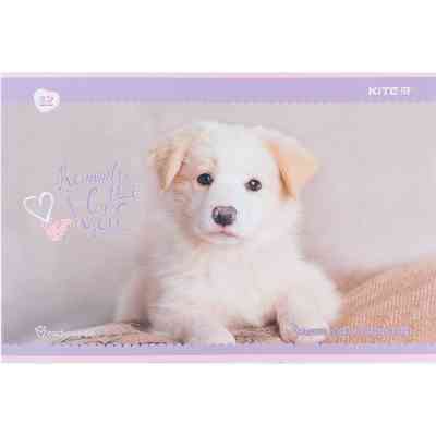 Альбом для рисования Kite Rachael Hale, 12 листов (R24-241) Винница