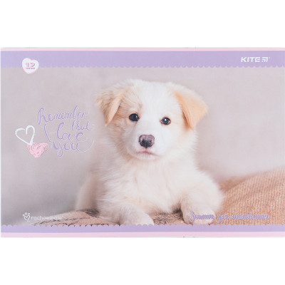 Альбом для рисования Kite Rachael Hale, 12 листов (R24-241) Винница - изображение 5