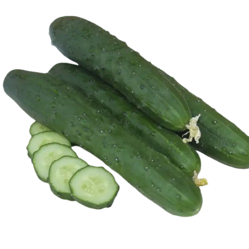 Огірок Ловелі F1 самозапильний 10шт Професійне насіння Житомир - изображение 3