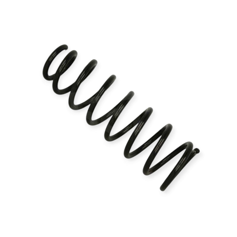 Пружина Тойота Corolla (02-07) (универсал, HB) задняя Мукачево - изображение 1