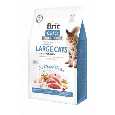 Сухой корм для кошек Brit Care Cat GF Large cats Power and Vitality 400 г (8595602540921) Винница