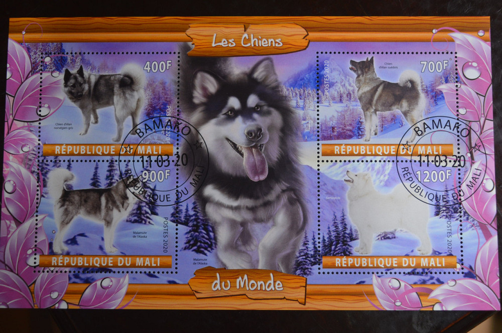 Мали. Марки. Фауна. Блок. 2020 год (В-2) Полтава - изображение 1