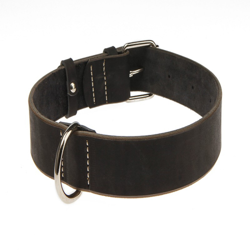 Нашийник 3351 25мм "Класик преміум" шкіряний (Чорний) Вінниця - фото 1