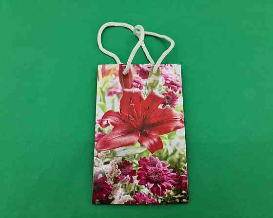 Пакет паперовий подарунковий малий 11/18/5 (арт М088) (12 шт.) Харків