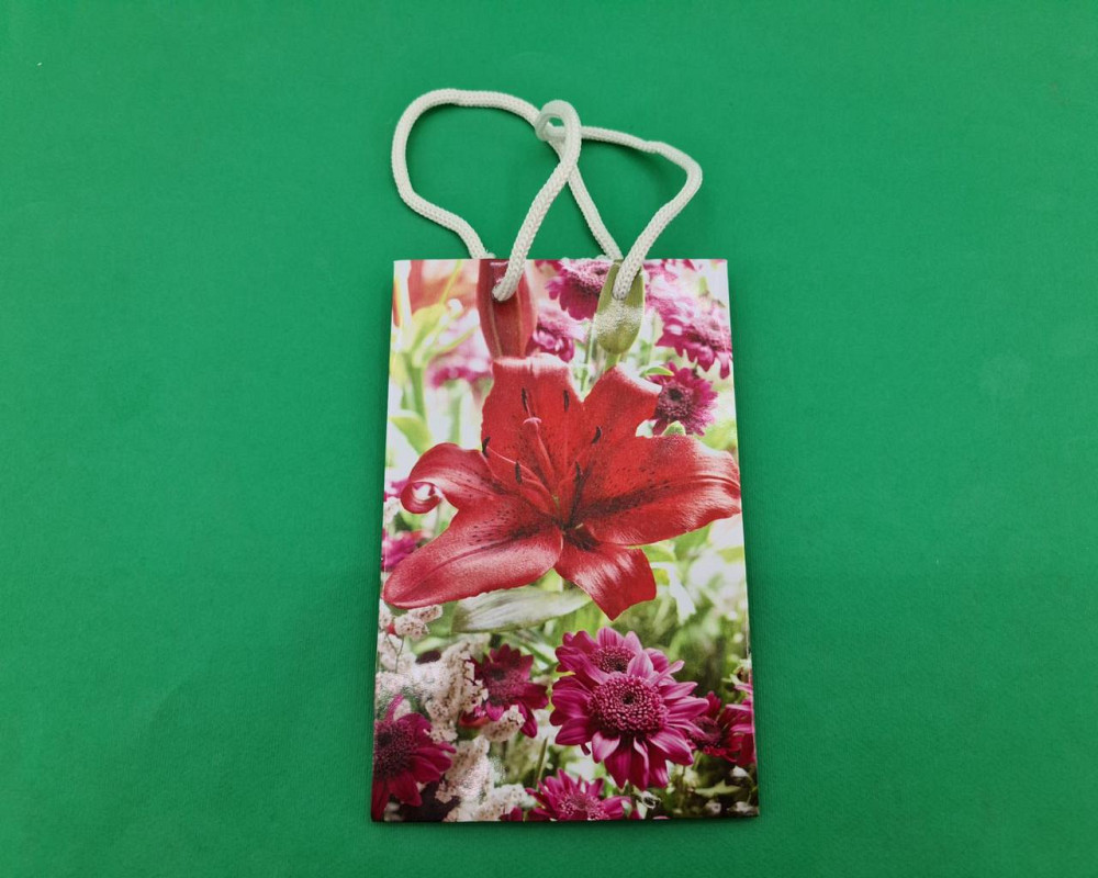 Пакет паперовий подарунковий малий 11/18/5 (арт М088) (12 шт.) Харків - фото 3