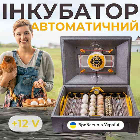 Автоматичний інкубатор для курячих яєць Теплуша ПРО-72 12-50 ТАВ ТЕНовий з живленням 2в1 12В та 220В Київ