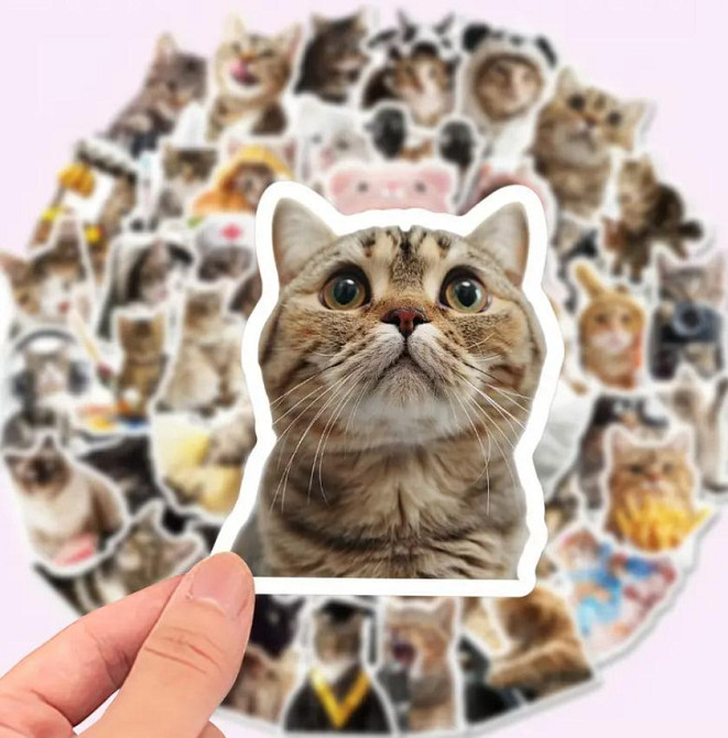 Наклейки Стікери Коти - Водонепроникні Вінілові Естетичні Наклейки з Котами для Пляшки Води, Комп'ют Київ - фото 6