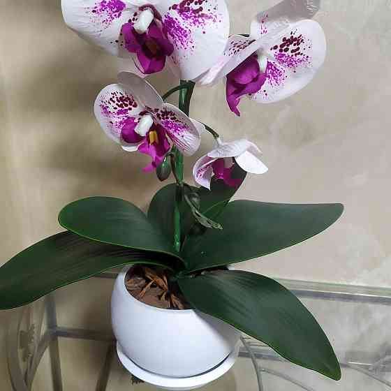 Штучна латексна орхідея VIP у білому керамічному кашпо на одну гілку біло-бузкова Дніпро