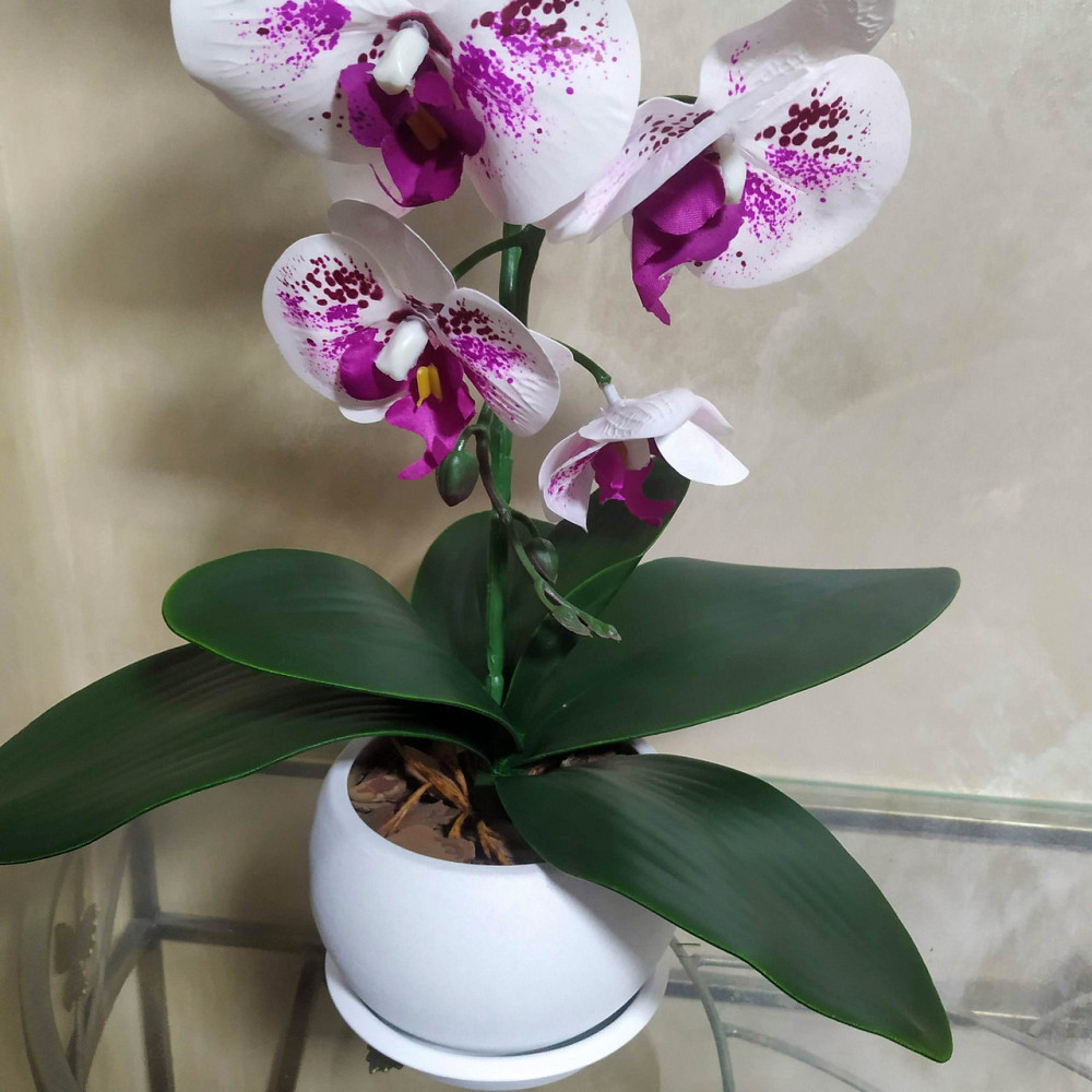 Штучна латексна орхідея VIP у білому керамічному кашпо на одну гілку біло-бузкова Дніпро - фото 3
