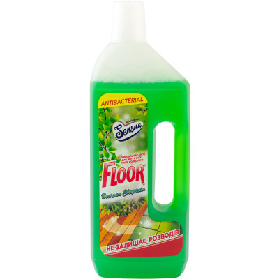 Засіб для миття підлоги Floor Весняна свіжість 750 мл (4820167004354) Вінниця - фото 1