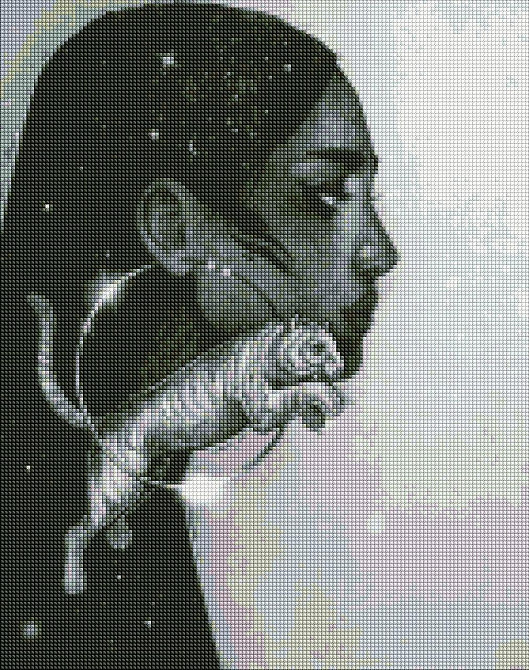 Алмазна мозаїка 40*50 см 