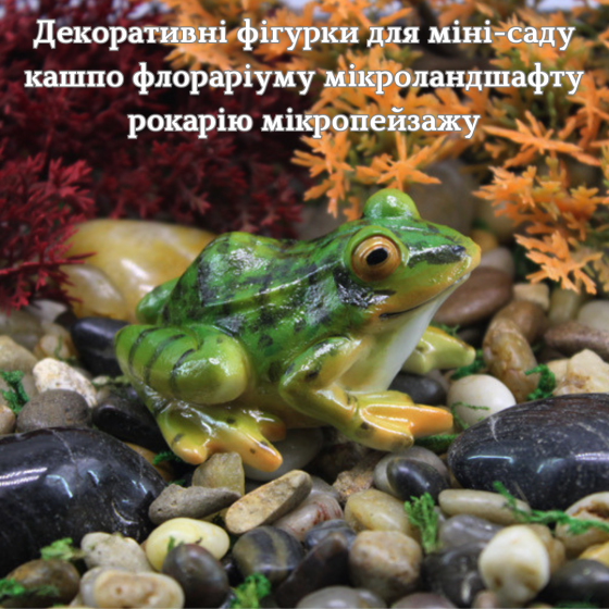 Садовая фигурка Лягушка для мини-сада кашпо вазона флорариума микроландшафта рокария микропейзажа Одесса
