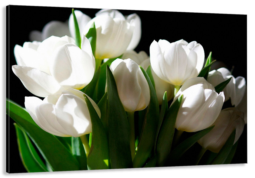 Картина холст в гостиную / спальню  Білі Тюльпани  MLP_129 90х180см Киев - изображение 1