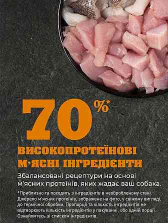 Acana Puppy Large Breed Recipe (Акана Паппи Ладж Брид Рецип) сухой корм для щенков крупных пород Запорожье