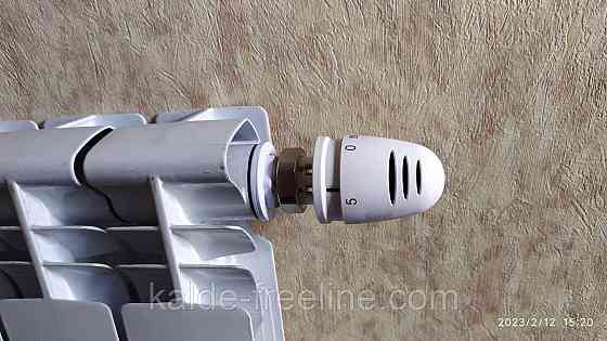 Термостатическая головка HERZ-MINI 