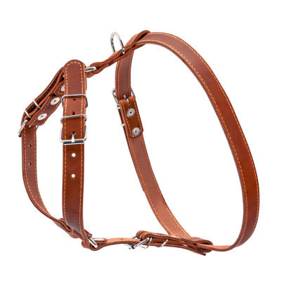 Шлея для собак Collar одинарна для малих та середніх порід Ш 20 мм А:40-56 см В:57-65 см коричнева (06366) Вінниця - фото 2