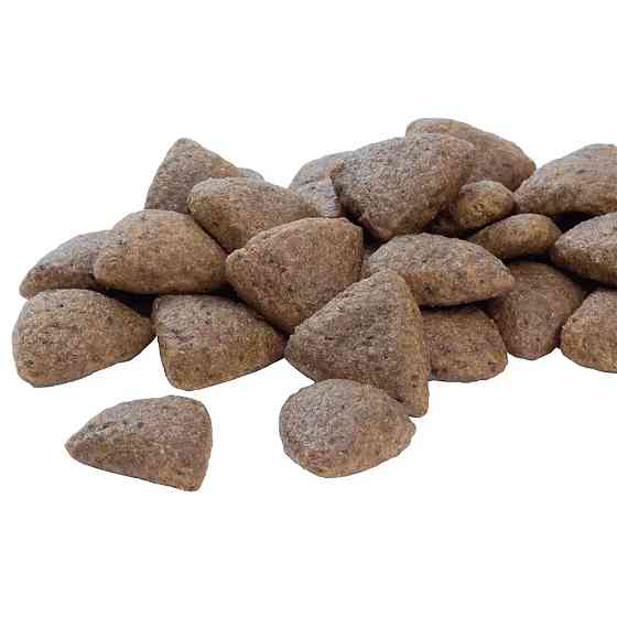 Сухий корм PRO PLAN Medium Adult 1+ Everyday Nutrion для дорослих собак середніх порід, з куркою, 3 кг Київ