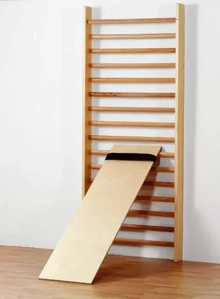 Тренажер Sportlanger Incline Bench For Wall Bars Upholstered (110072) Киев - photo 1