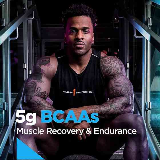 Протеїн Rule One Whey Blend 908 gram ( Mint Chocolate Chip ) Луцьк