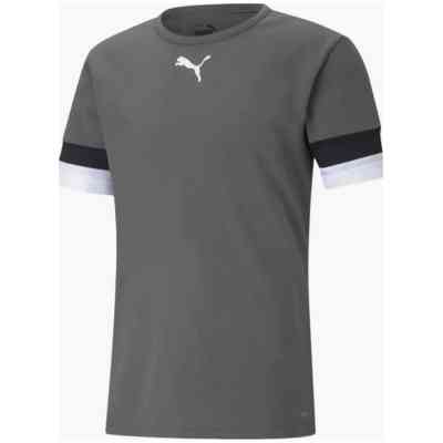 Футболка Puma teamRISE Jersey 704932-13 сірий M (4063699213287) Винница