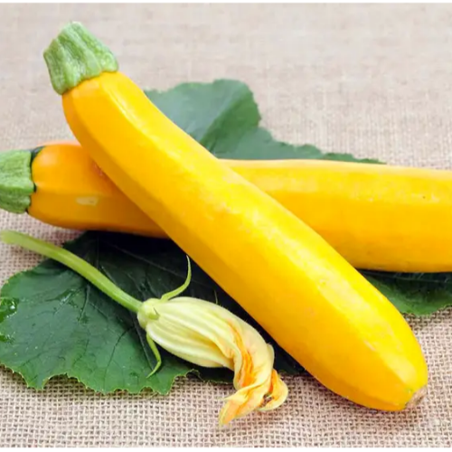 Кабачок Мері Голд F1 жовтий 5шт Професійне насіння Житомир - фото 2