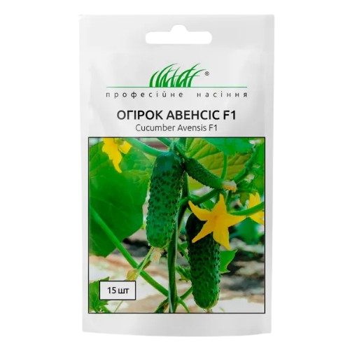 Огірок Авенсіс F1 самозапильний 10шт Професійне насіння Житомир - изображение 2