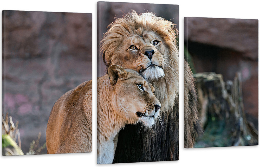 Модульная картина в гостиную / спальню  Сім`я Левів  Art-566_3 70x130 см Київ - фото 1