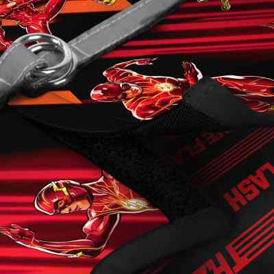 Шлея для собак WAUDOG Clothes м'яка з QR адресником "Швидкість Флеша" XS3 (222-1080) Вінниця