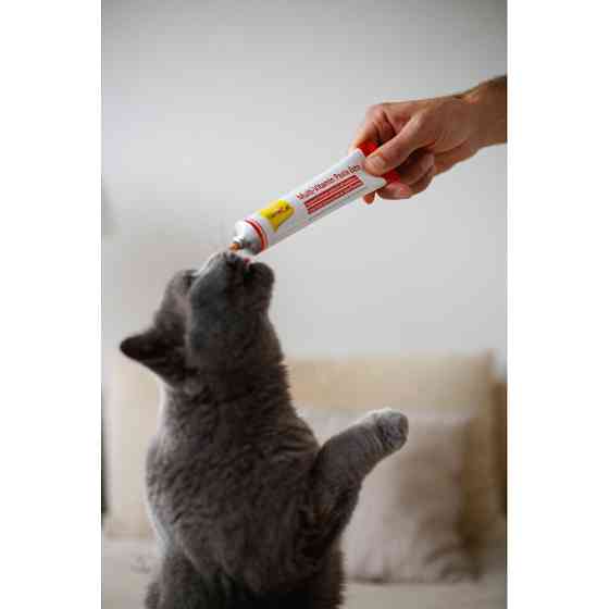 Мультивітамінна паста GimCat Every Day Extra для котів, 50 г Вінниця