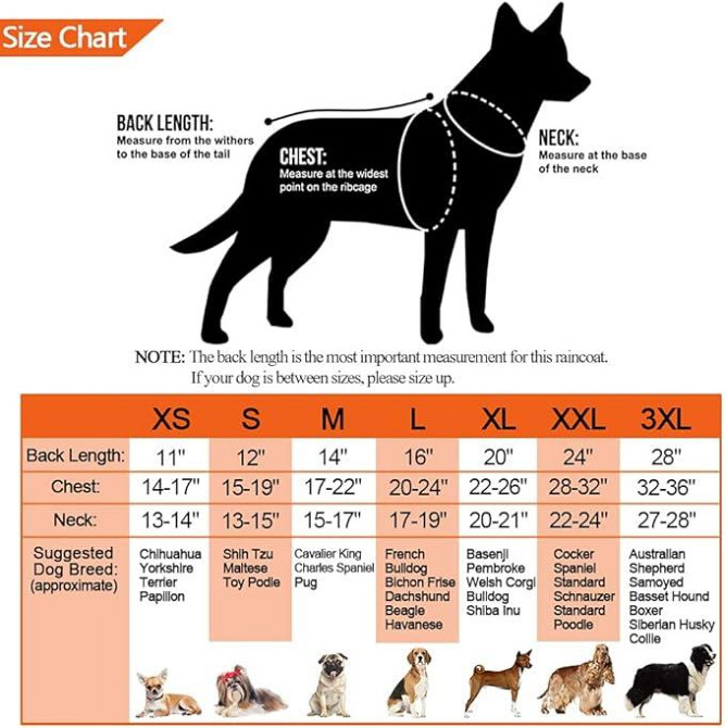 Дощовик для собак Doglemi розмір L Луцьк - фото 3