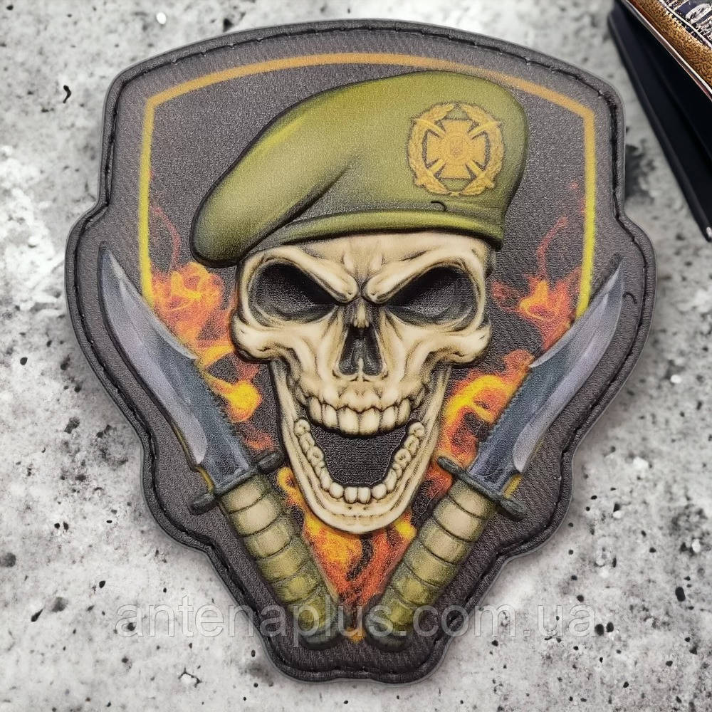 Череп в берете Сухопутные войска объемный шеврон / патч Киев - изображение 1