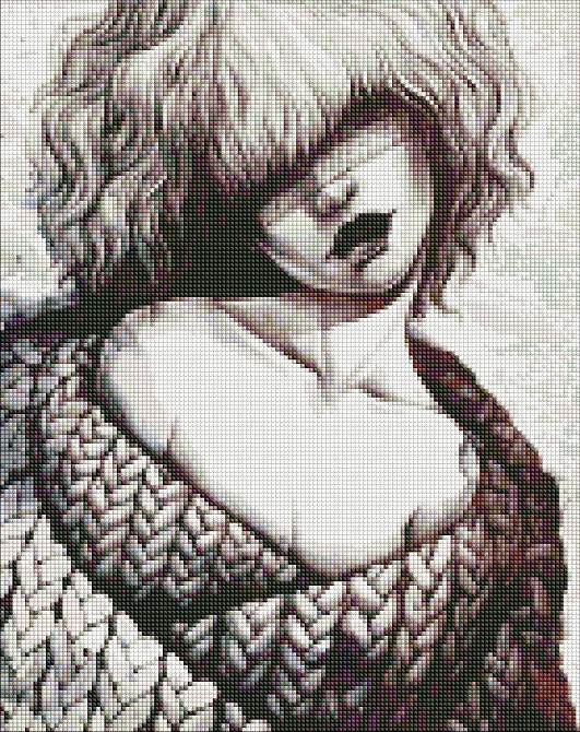 Алмазна мозаїка 40*50 см 