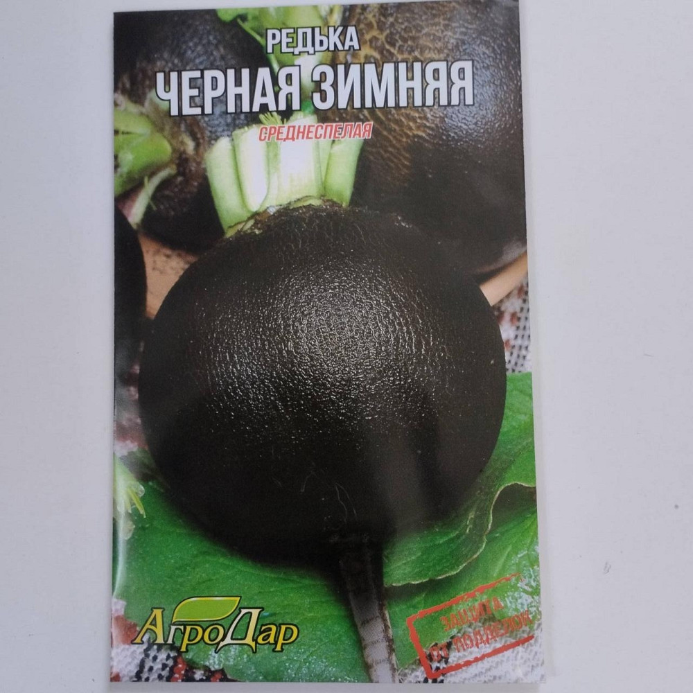 Редька "Чорна Зимова" 20гр Харків - фото 1
