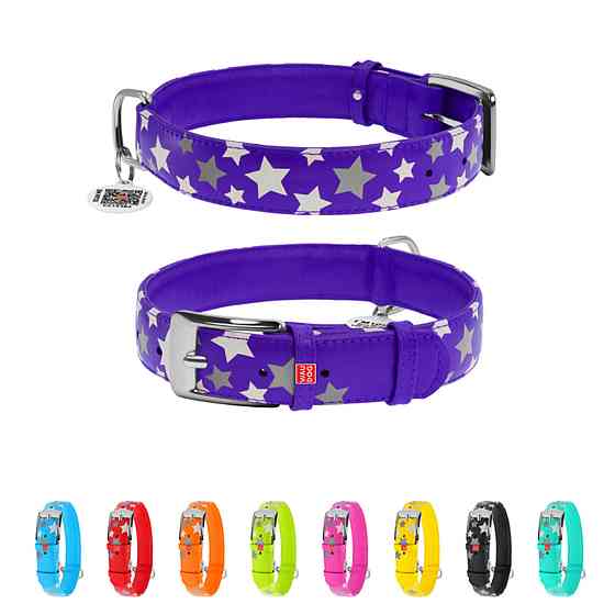 Coastal TOO! Cut Out Dots КОСТАЛ шкіряний нашийник для собак Київ