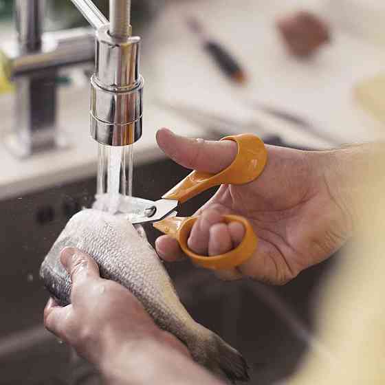 Кухонні Ножиці для продуктів 18 см Fiskars "Classic" (1000819/859874) Неіржавка сталь Нововолинськ