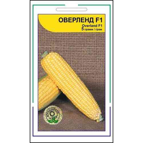 Семена Кукурузы сахарной Оверленд F1 5 г., Clause Tezier, Голландия Винница