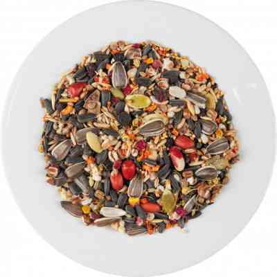 Корм для птиц Special One для средних попугаев 500 г (4823082421237) Винница