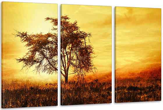 Модульная картина Закат Дерево Аrt-132_3А 70x130 см Киев