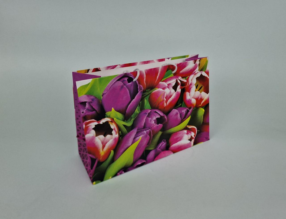 Паперовий великий горизонтальний пакет 36/22/10 (артBG-054) (12 шт.) Харків - фото 1