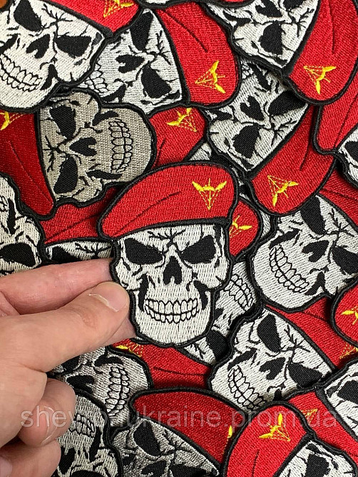 Шеврон череп ДШВ (Форма контурная. На липучке) Размер 8x6см Киев - изображение 4