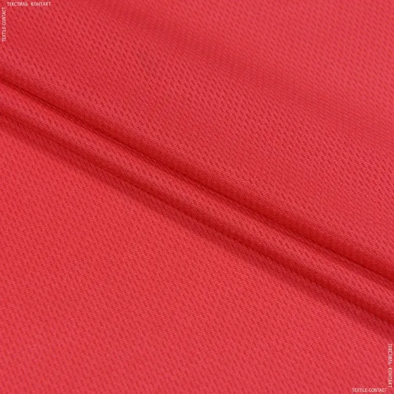 Шорты мужские Adidas,лакоста Киев