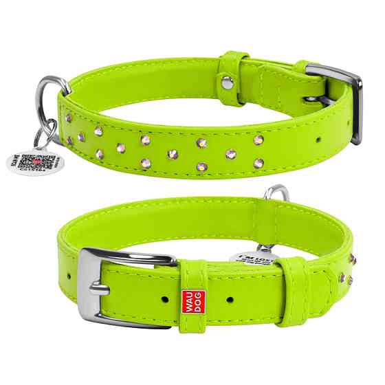 Нашийник для собак шкіряний WAUDOG Glamour з QR паспортом, з клейовими стразами, Ш 25 мм, Дов 3 Коломия