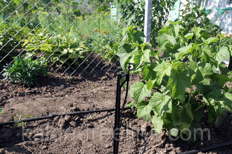 Крапельниця для поливу Presto-PS мікроджет Тиск (MJ-1511) Харьков - изображение 8