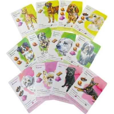 Настольная игра Games 7 Days Парк собак (Dog Park) (укр.) (DP001U) Винница