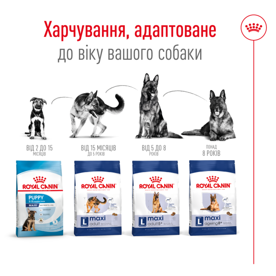 Корм для дорослих собак великих порід ROYAL CANIN MAXI AGEING 8+(віком від 8 років) 15 кг Київ
