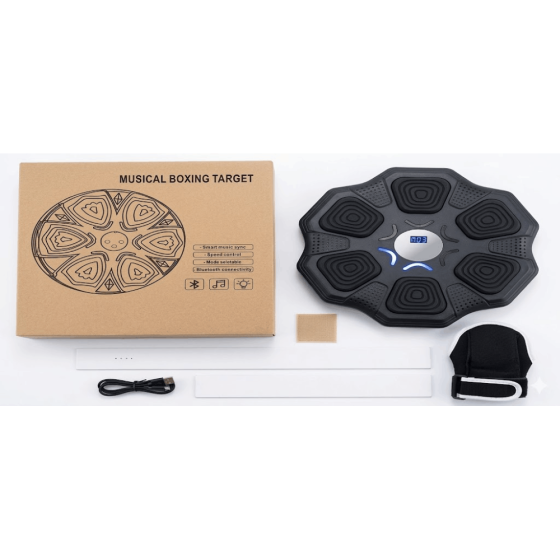 Интерактивная игра-тренажер Бокс TS-5563 настенный Bluetooth музыкальный фитнес-тренажер реакции координации Одесса