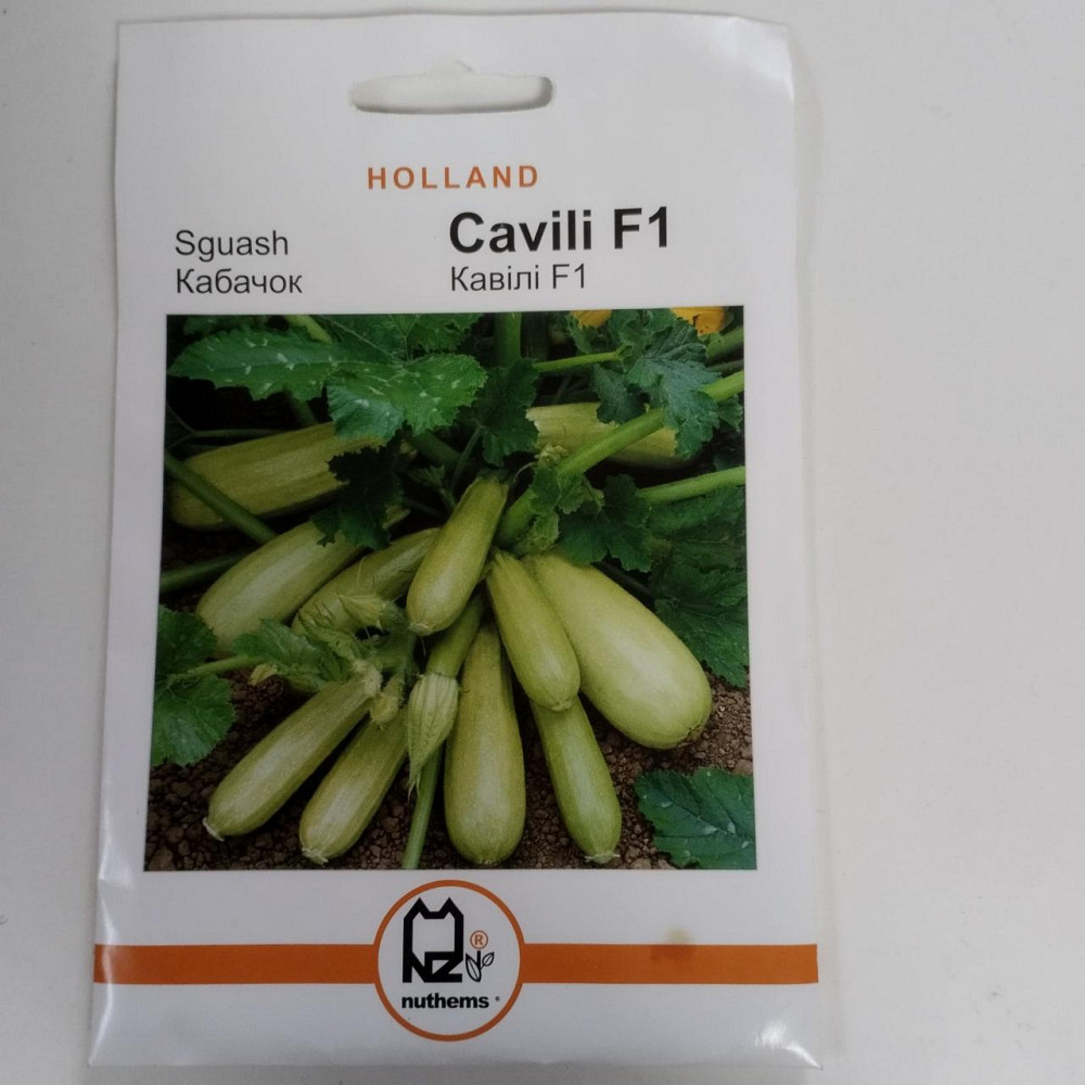 Кабачок "Кавілі F1" Голландія 3 гр Харків - фото 1