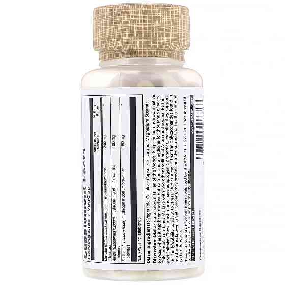 Укрепление иммунитета: Майтаке Рейши Шиитаке (Fermented Mushroom Immune Complex) 100 капсул Киев