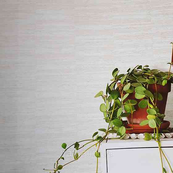 Шпалери флізелінові еко Rasch Kerala 0.53х10 м горизонтальні смужки сірі сріблясті ефект потертості Київ